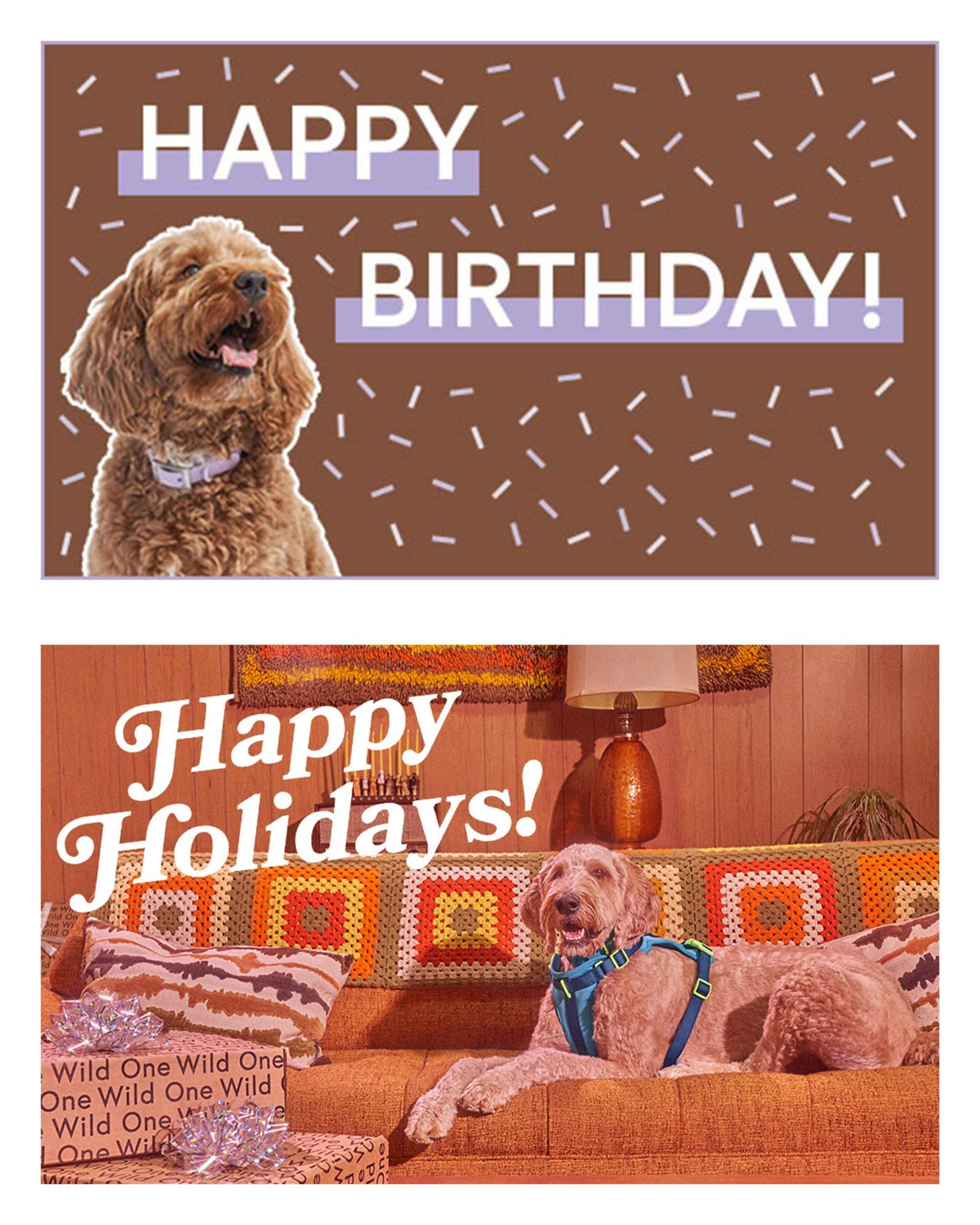 Gift-Card-Creative-Celebrate-869973.jpg