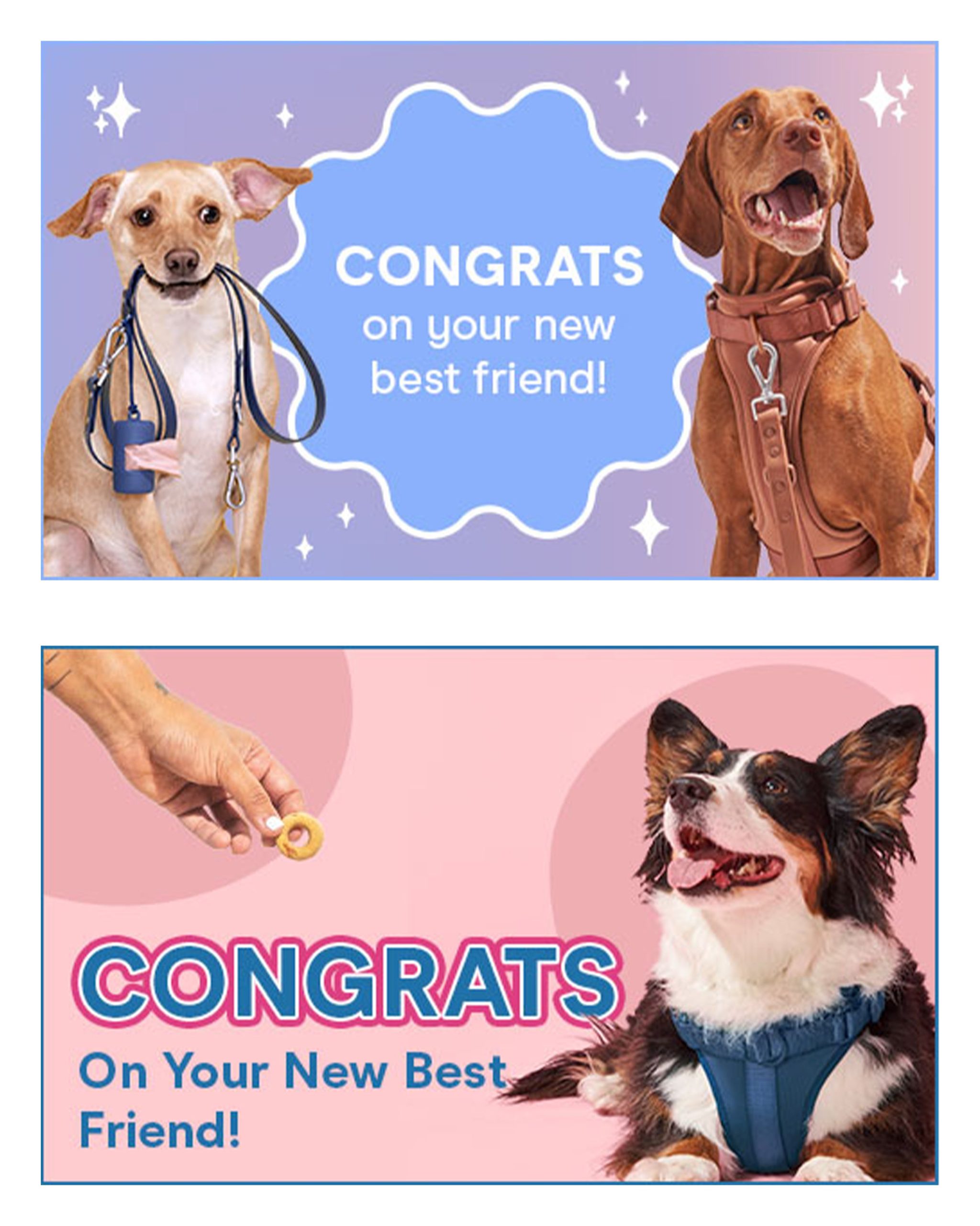 Gift-Card-Creative-New-Best-Friend.jpg