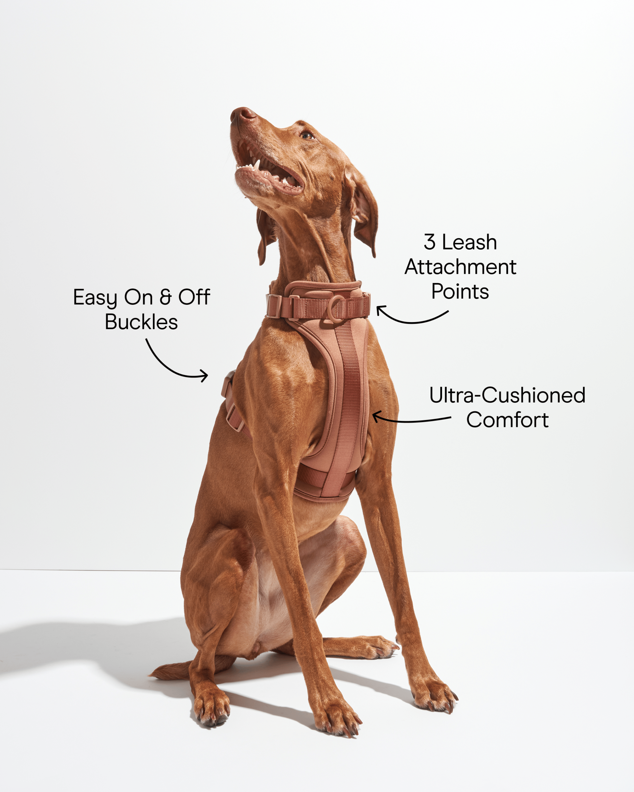 WO_Infographic_CushionedHarness_Cocoa.png