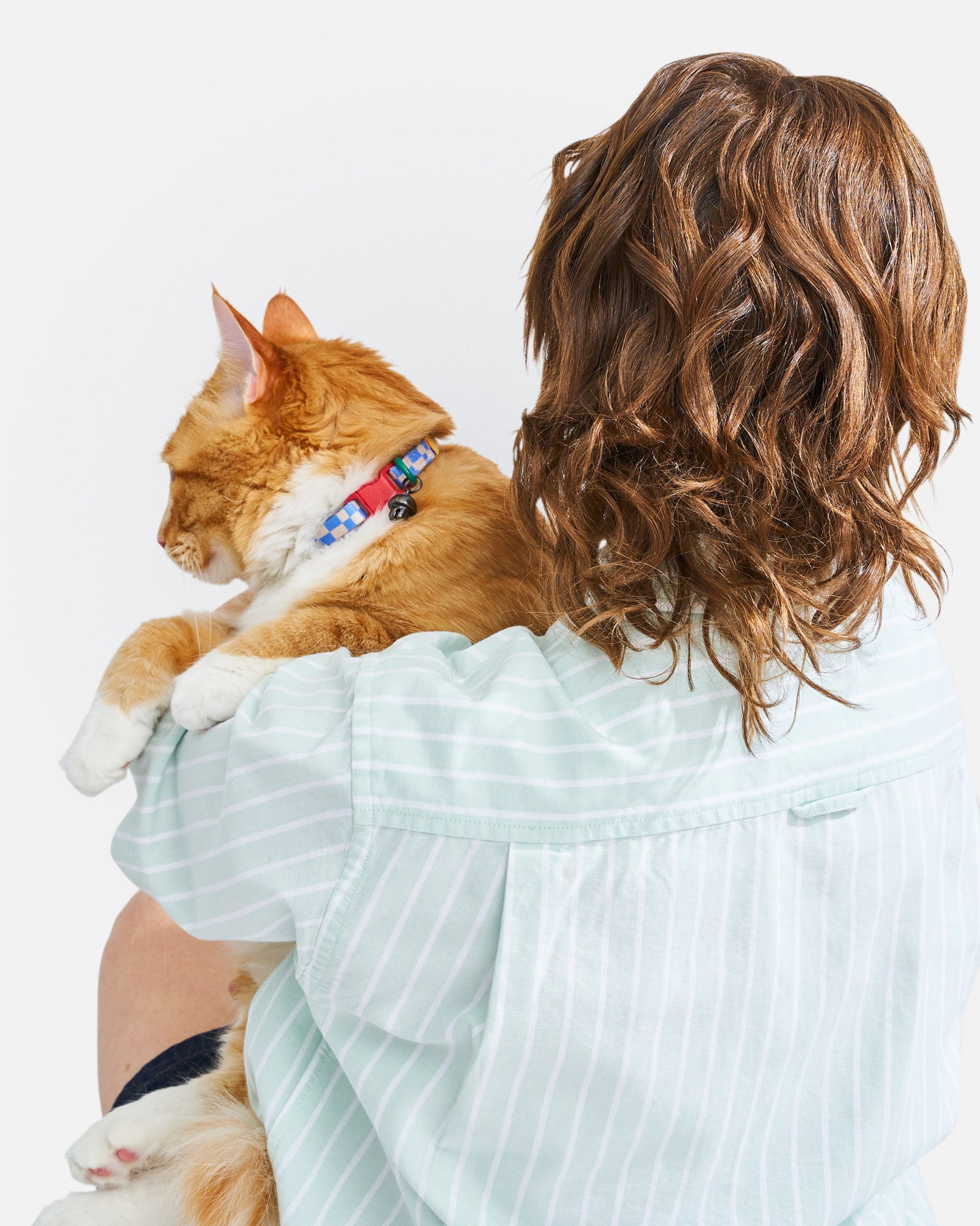 WO_VM_Cat_BreakawayCollar_Retro_OnCat_PDP_05_4x5_Web.jpg