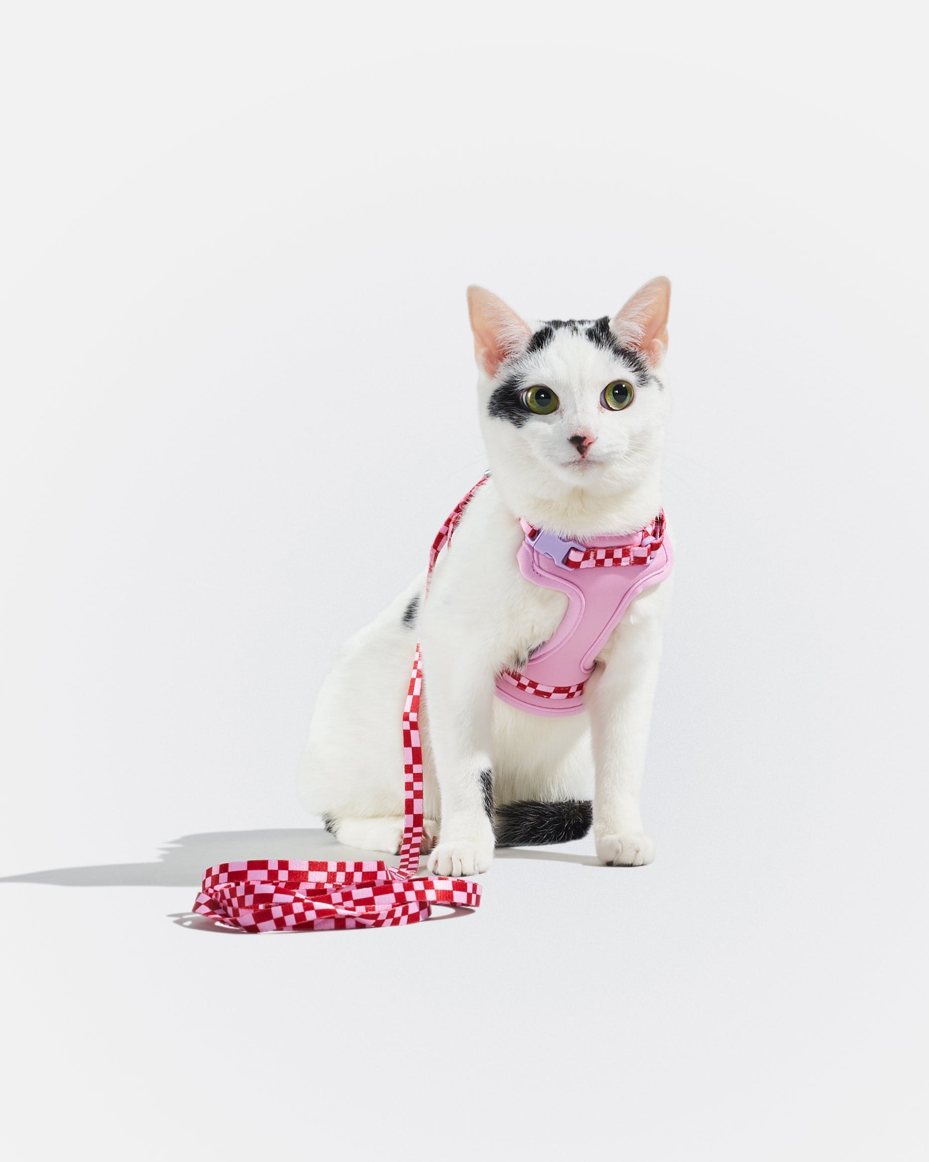 WO_VM_Cat_HarnessWalkKit_Bubblegum_OnCat_PDP_01_4x5_Web.jpg