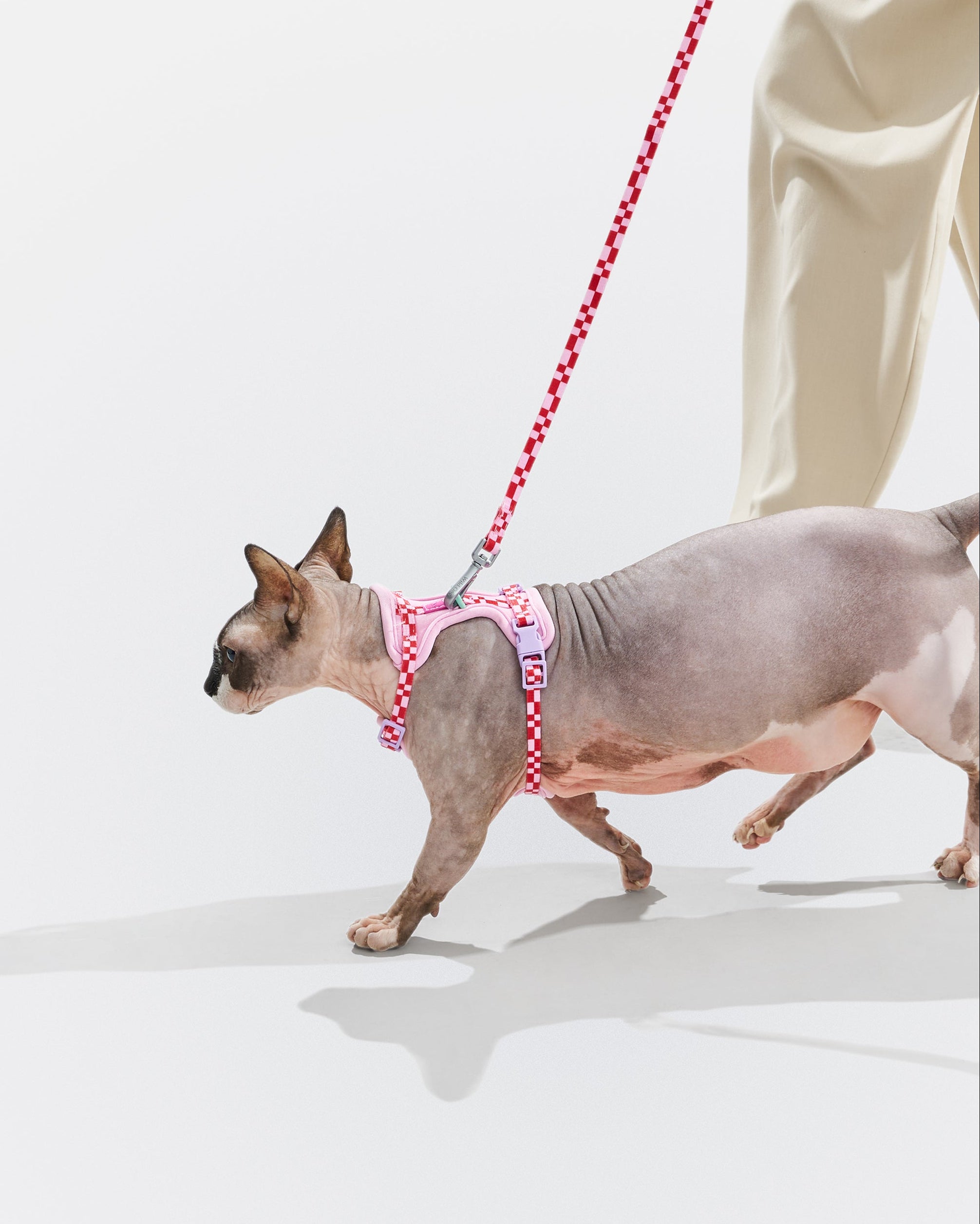 WO_VM_Cat_HarnessWalkKit_Bubblegum_OnCat_PDP_03_4x5_Web.jpg