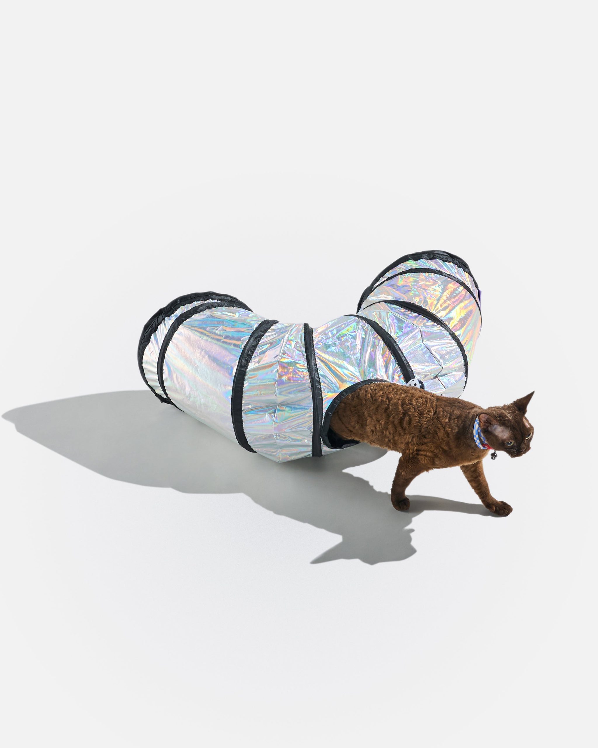 WO_VM_Cat_Tunnel_Lunar_OnCat_PDP_01_4x5_Web.jpg