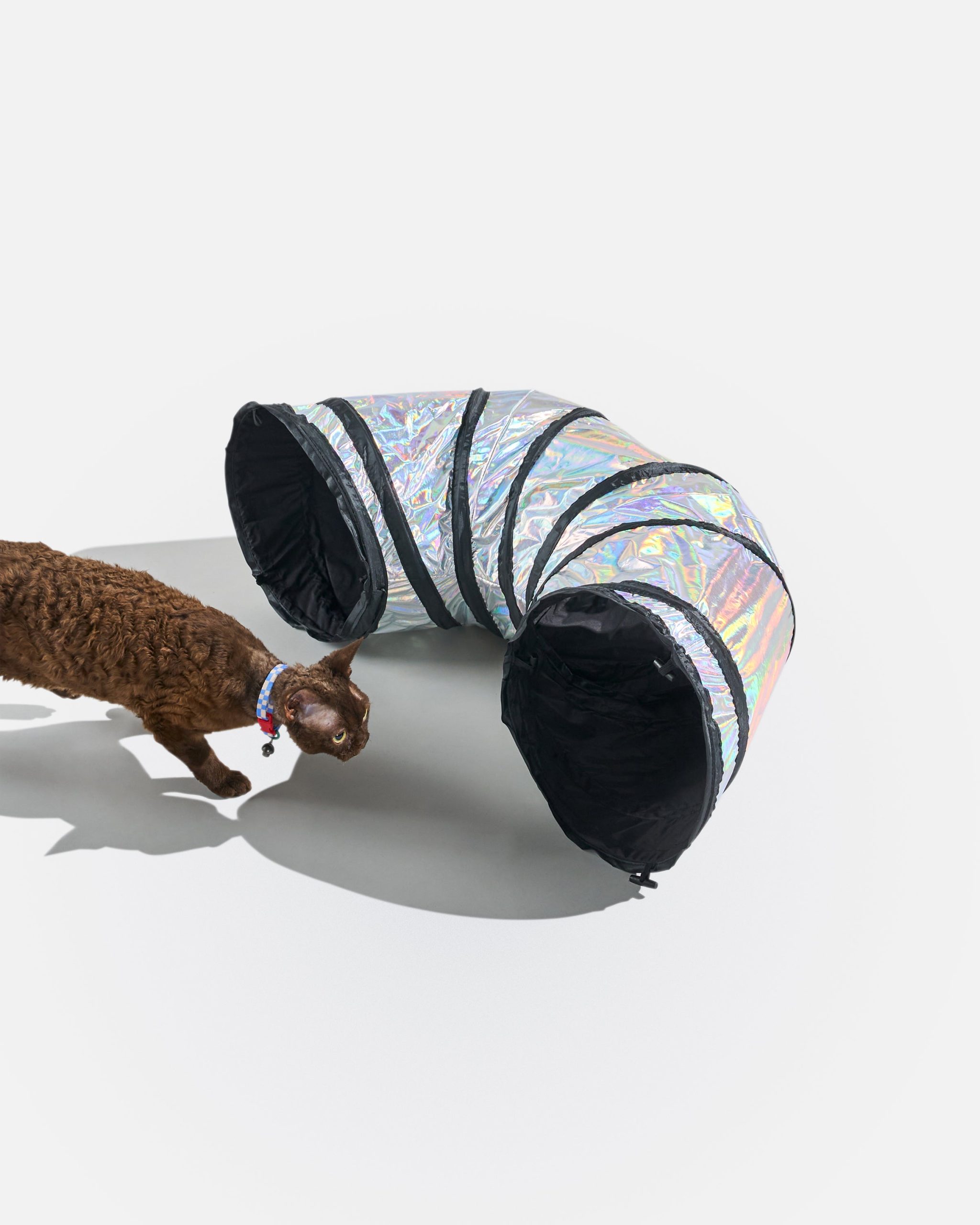 WO_VM_Cat_Tunnel_Lunar_OnCat_PDP_02_4x5_Web.jpg