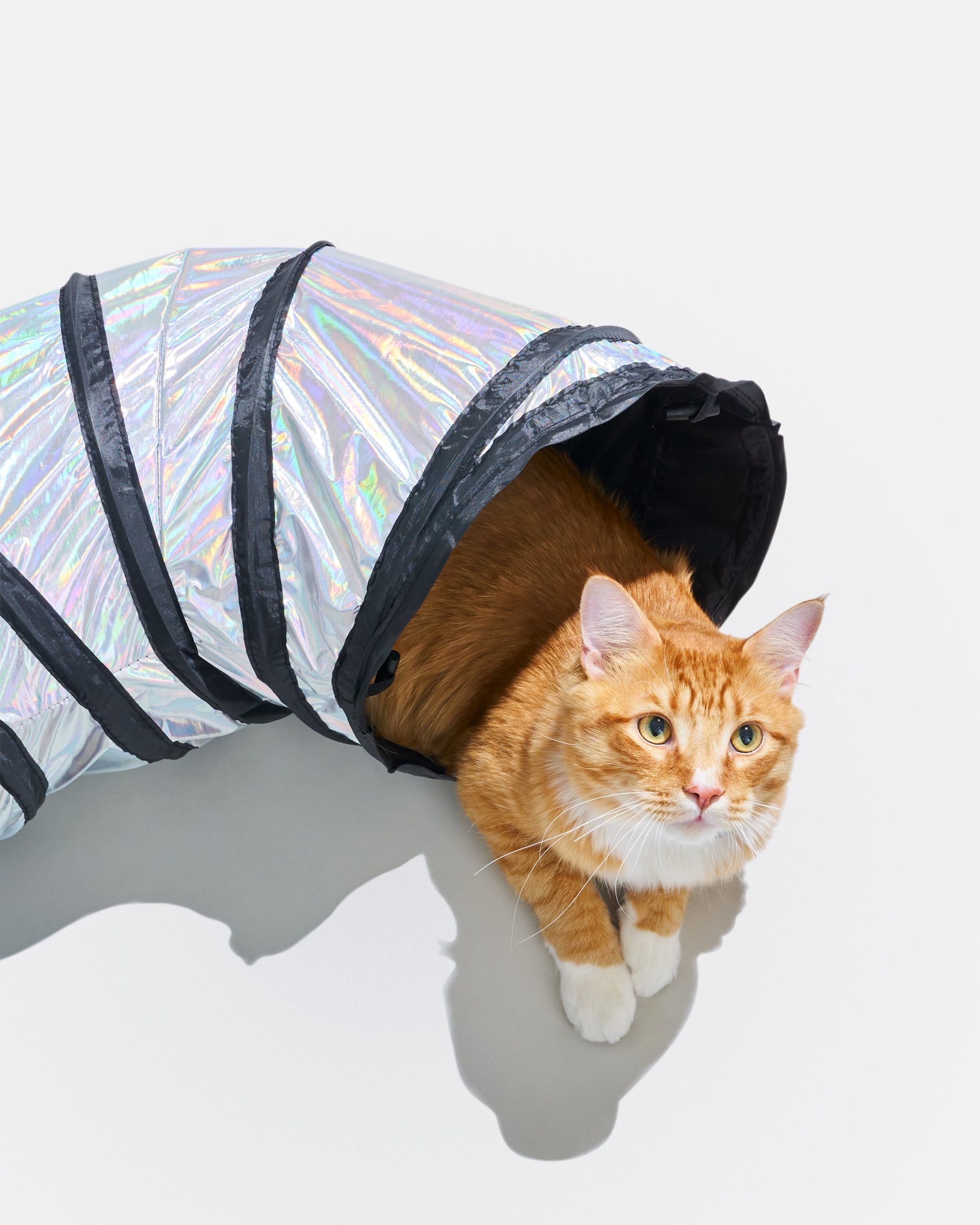 WO_VM_Cat_Tunnel_Lunar_OnCat_PDP_04_4x5_Web.jpg