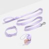 Quick-Release Collar + Lightweight Leash Walk Kit