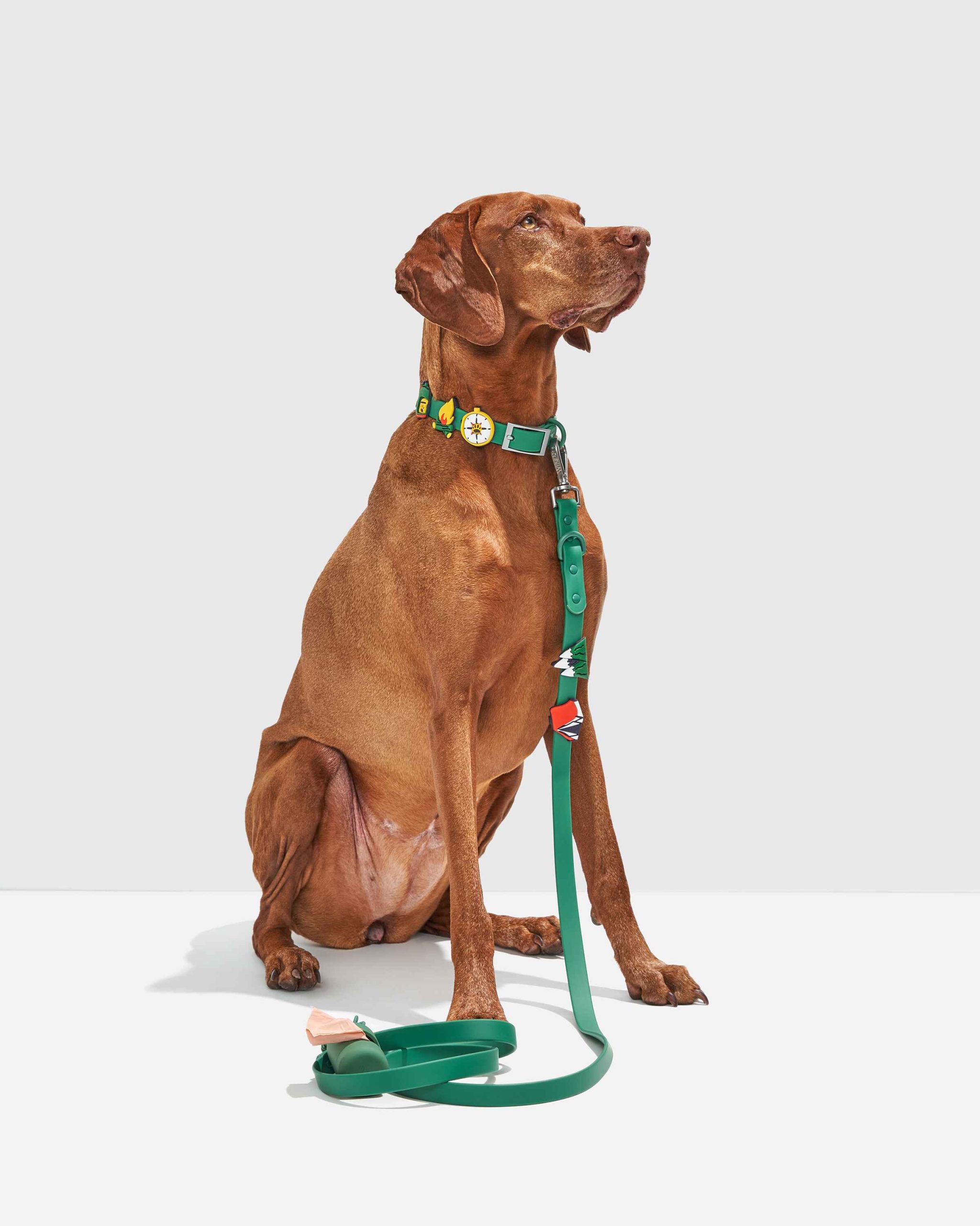 WO_VM_Flair_REI_Collar_PDP_03_4x5_Web.jpg