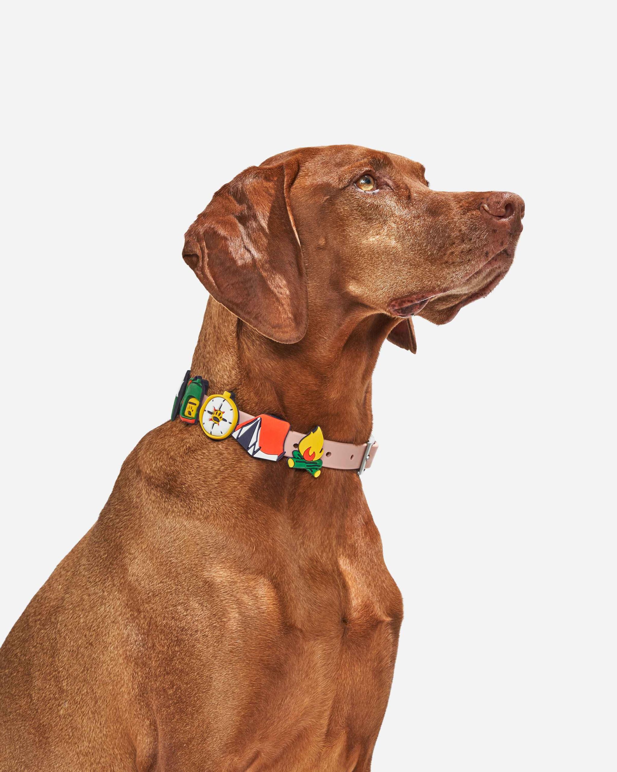 WO_VM_Flair_REI_Collar_PDP_10_4x5_Web.jpg