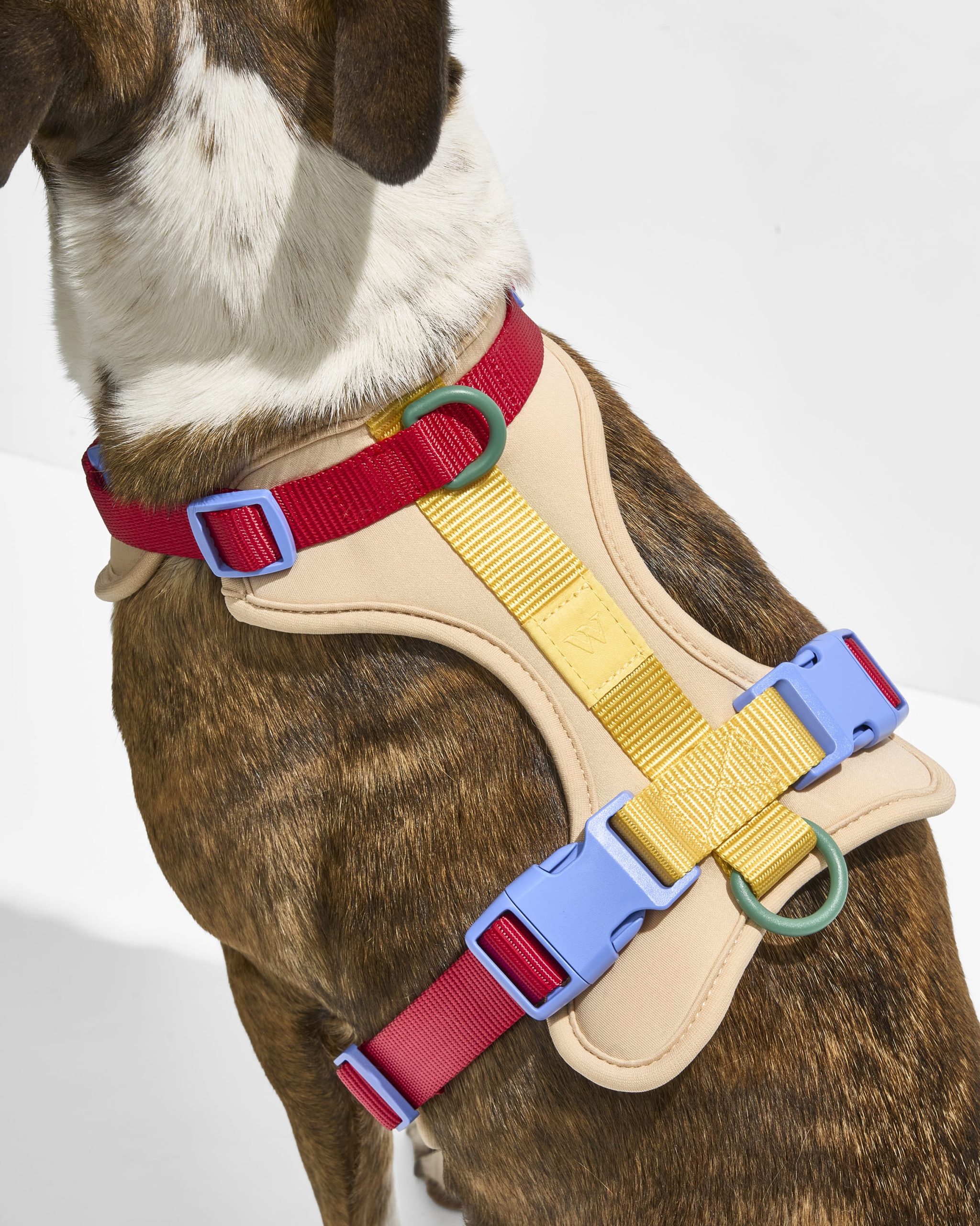 WO_VM_Harness_Retro_OnDog_PDP_03_4x5_Web_51ef2f7b-088d-4654-a5ef-8f4121e3a0e1.jpg