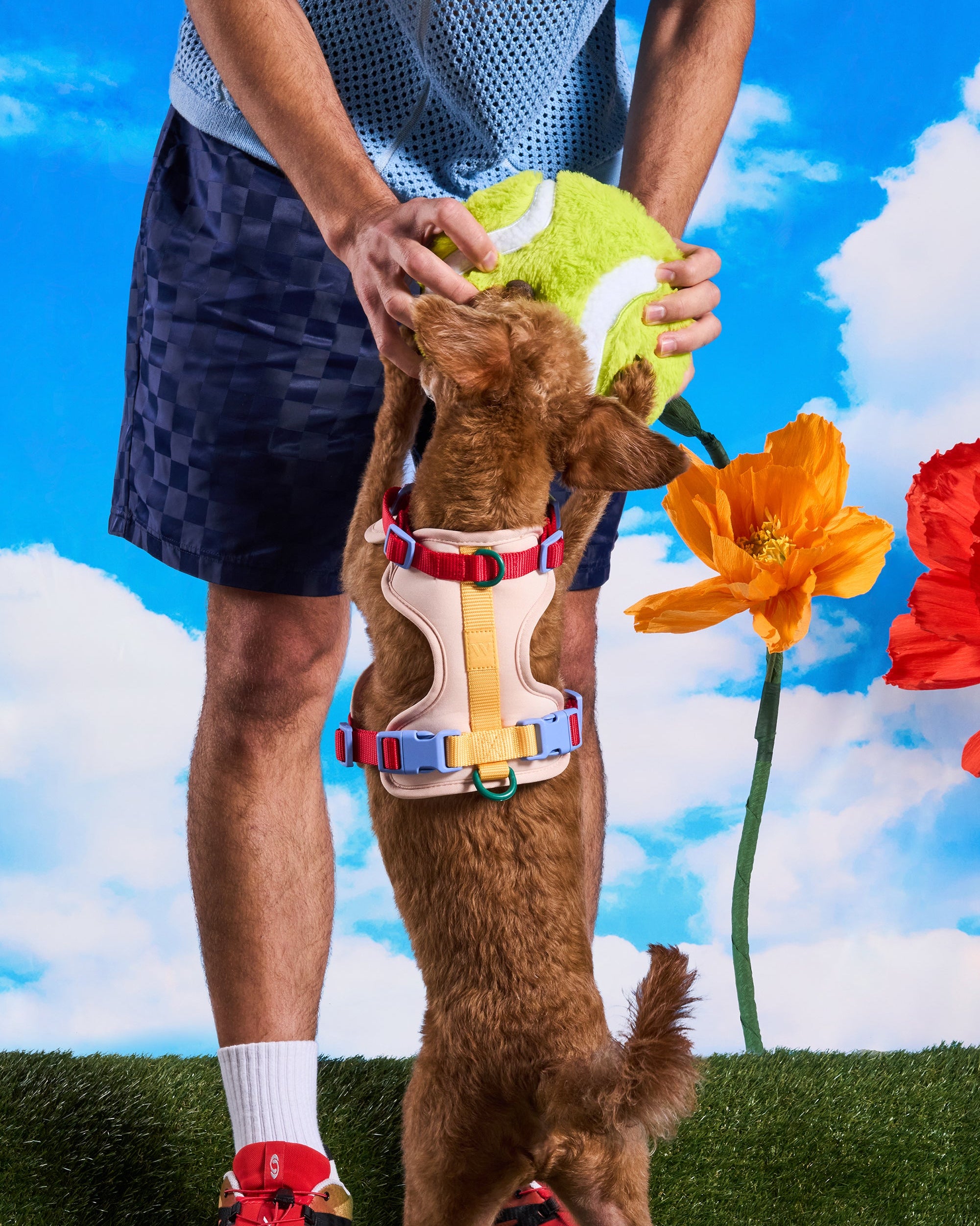 WO_VM_Harness_Retro_PlayfulPlush_TennisBall_ColorblockCampaign_01_2x3_Web.jpg