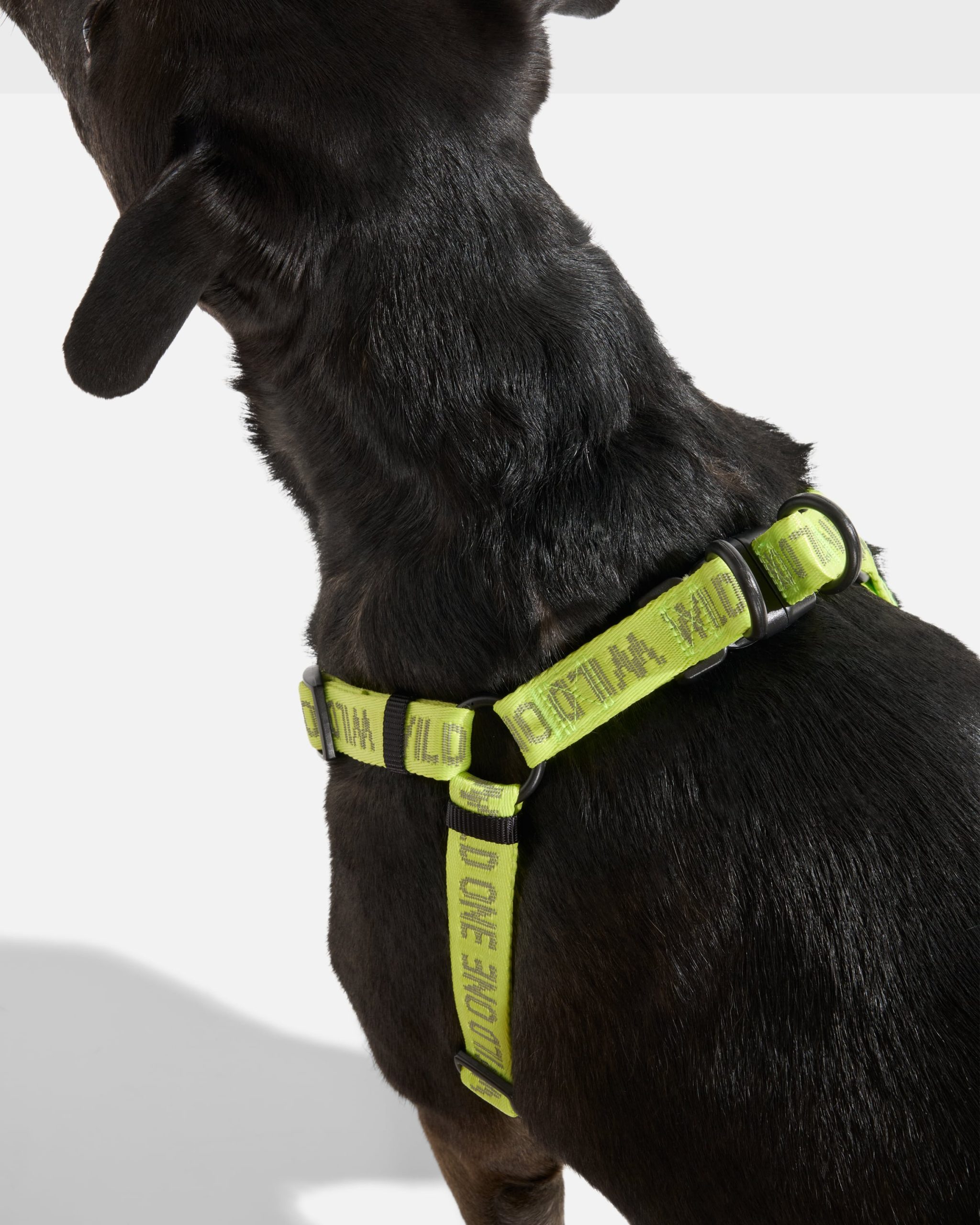 WO_VM_StepInHarness_Air_LimeadeReflective_L_OnDog_PDP_03_4x5_Web.jpg