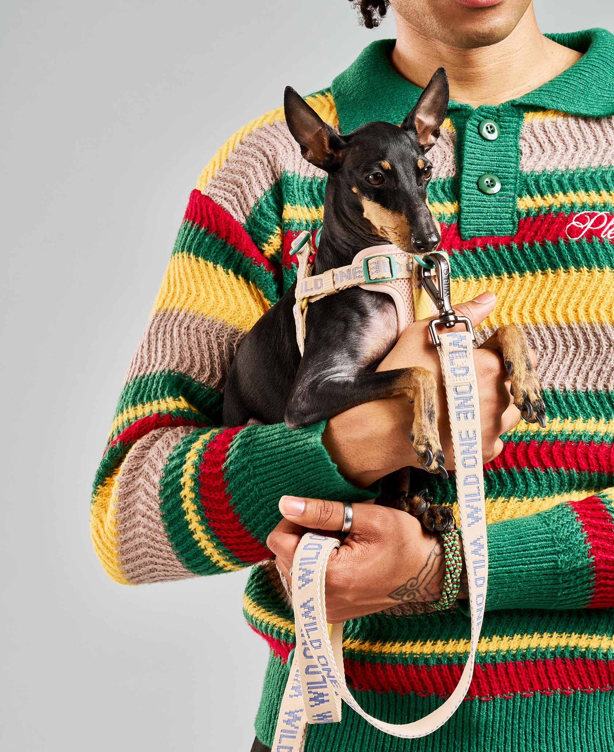 WO_VM_StepInHarness_Leash_Retro_AirCollection_Campaign_02_4x5_Web_39b9e3de-ade9-4890-8adf-4ab9a666db41.jpg