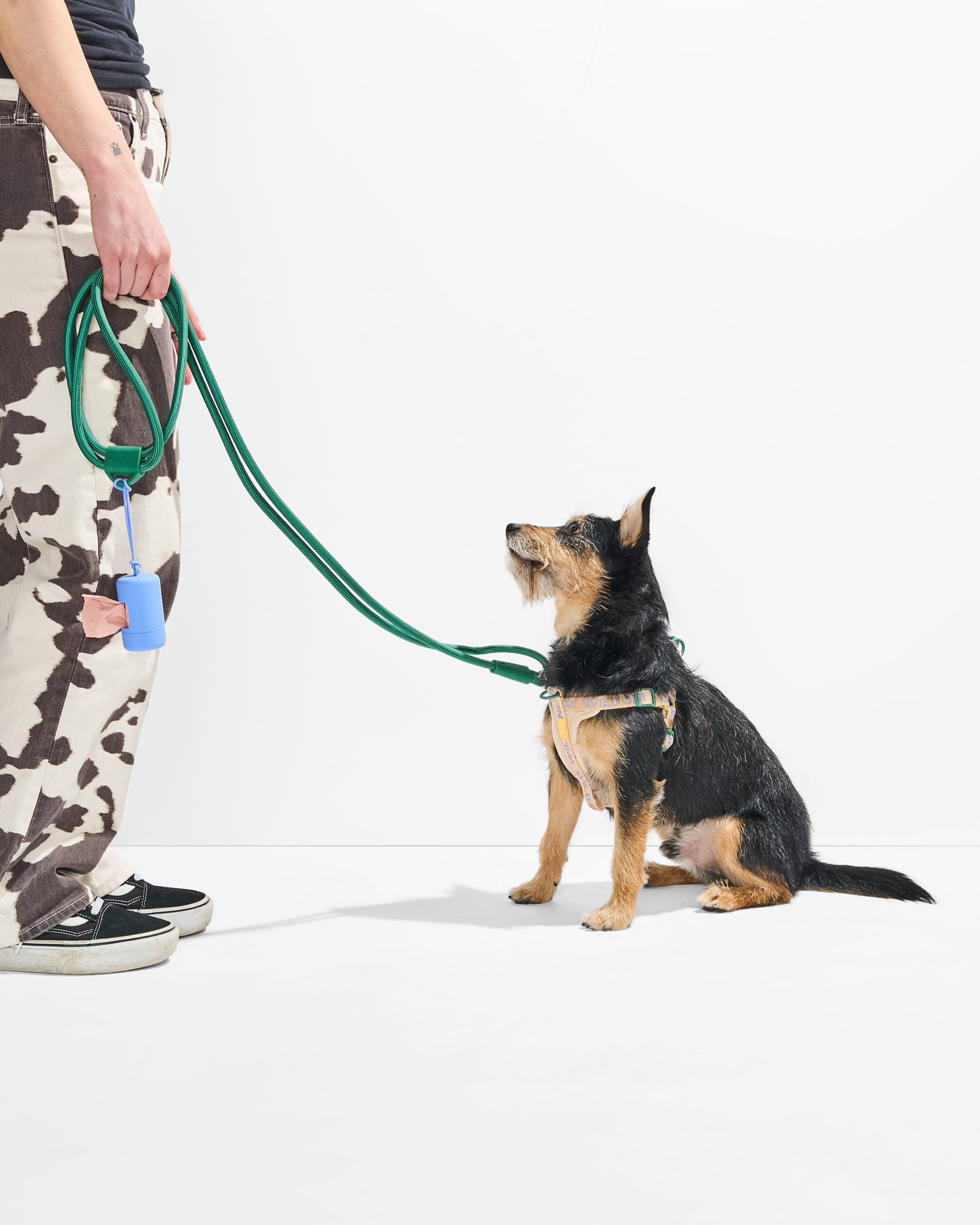 WO_VM_StepInHarness_Retro_RopeLeash_Spruce_RopeLeash_Moonstone_OnDog_AirCollection_PDP_01_4x5_Web.jpg
