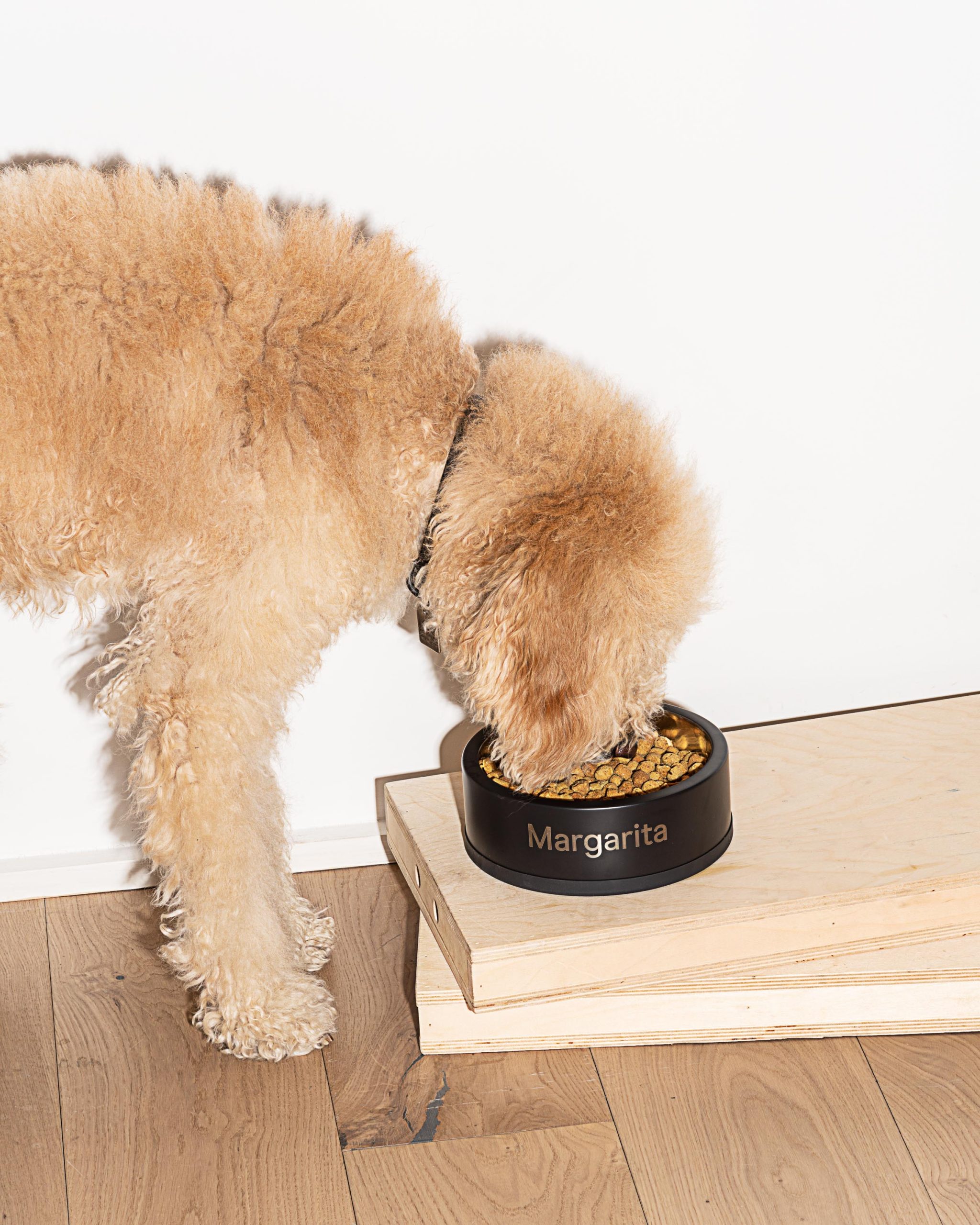 WO_VM_Studio_PDP_BowlEngraved_Black_Dog_01_Web_5-119366.jpg