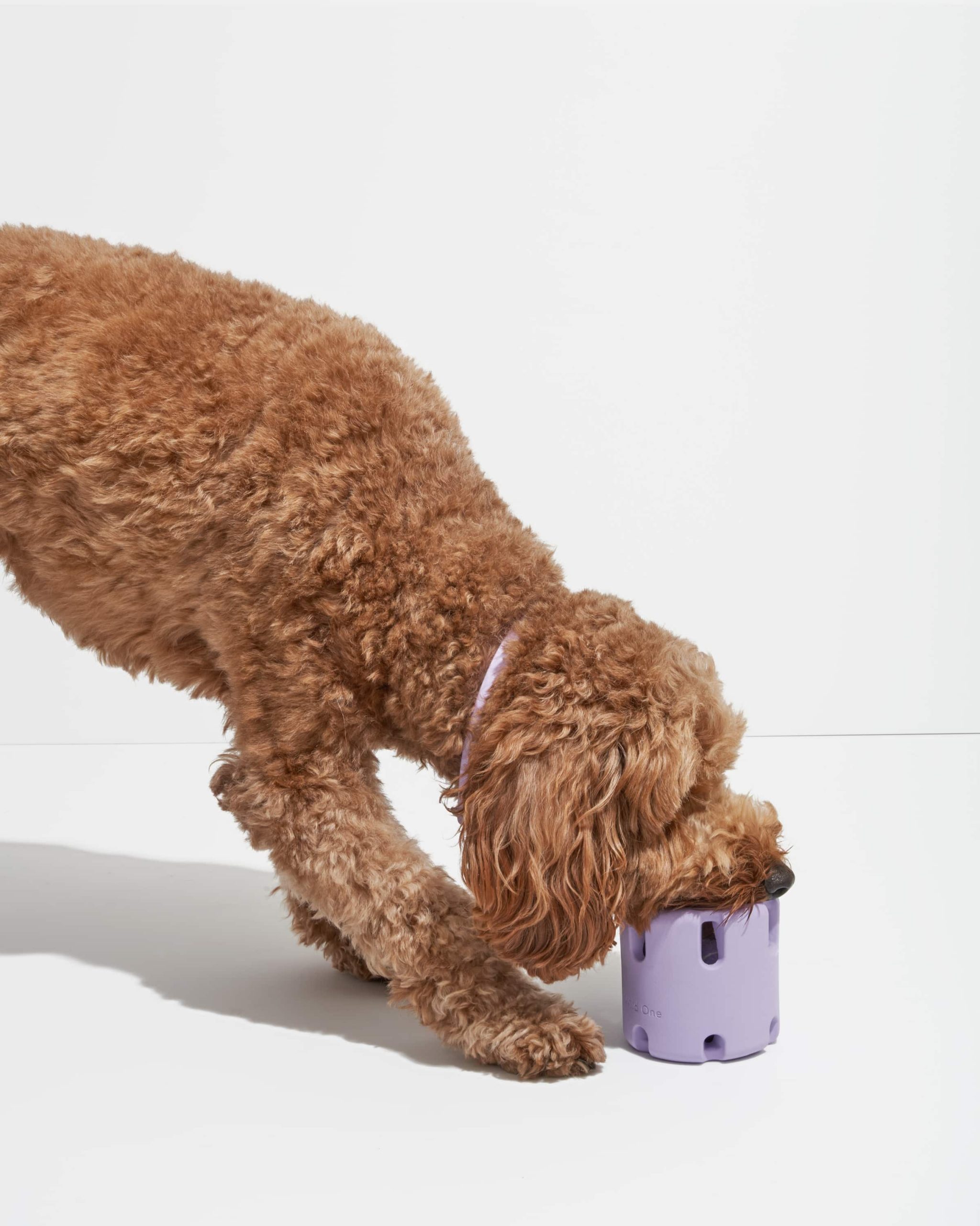 WO_VM_Studio_PDP_Toys_TennisTumble_Lilac_Dog_02_4x5_Web.jpg