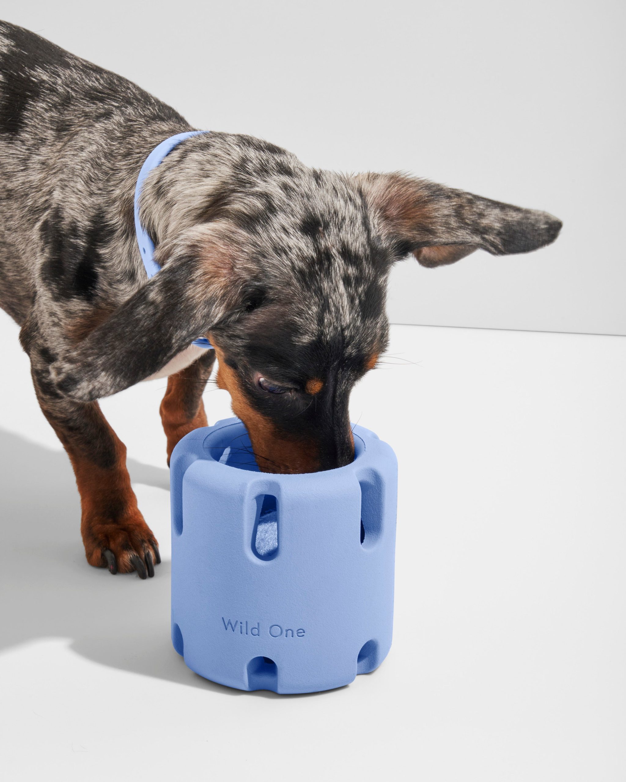 WO_VM_Studio_PDP_Toys_TennisTumble_Moonstone_Dog_01.jpg