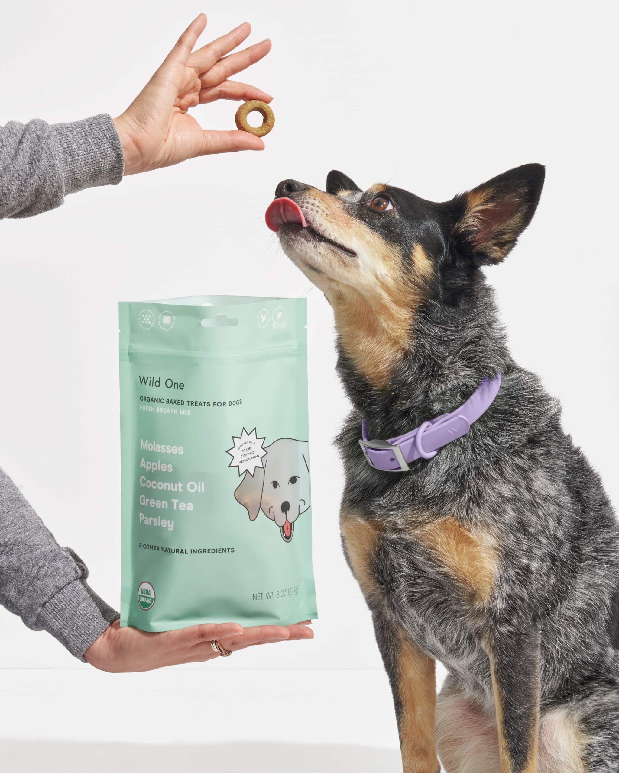 WO_VM_Studio_PDP_Treats_FreshBreath_Dog_06_Web_d6083720-58f1-415a-b8b2-213d76951de4.jpg