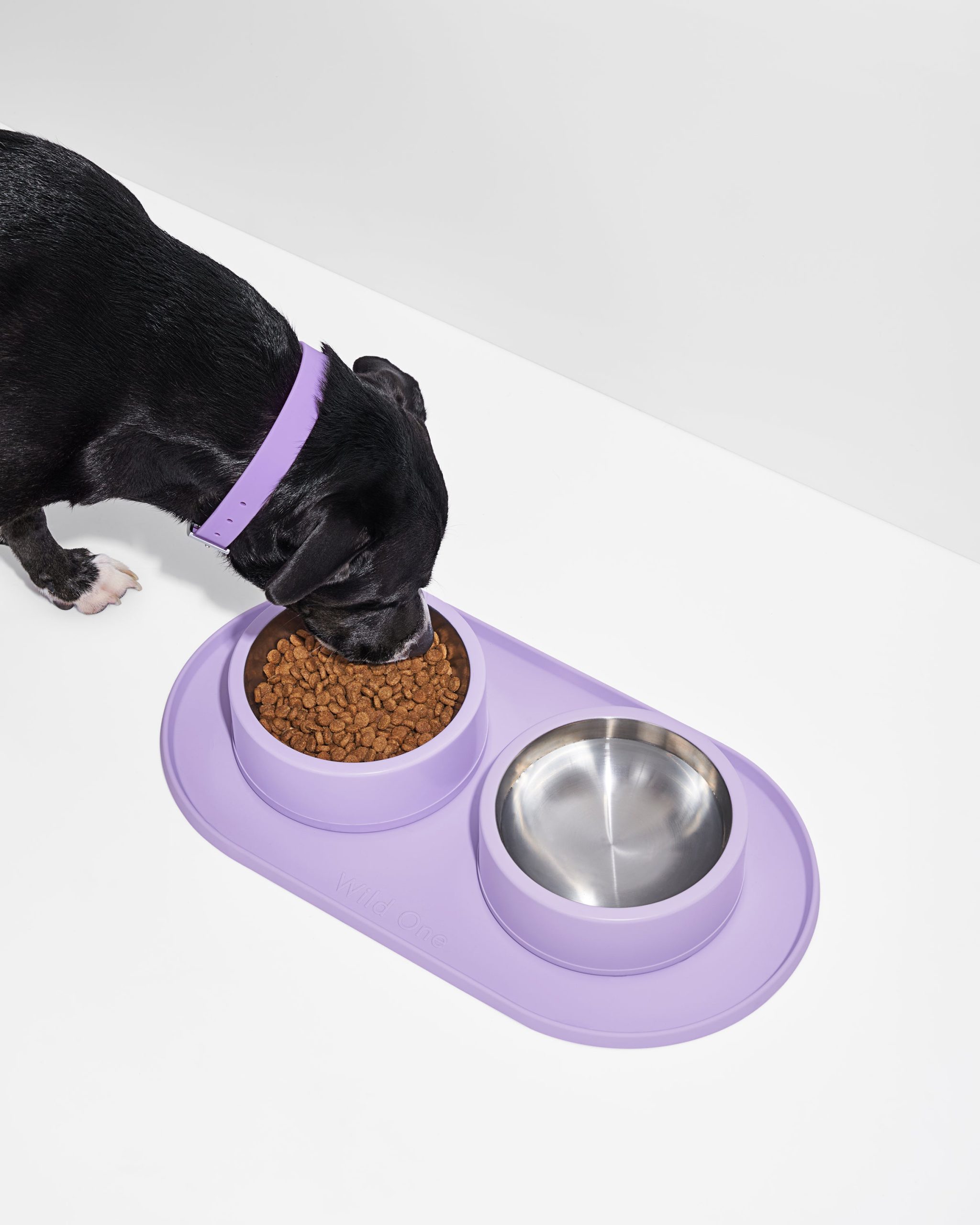 WO_VM_Studio_Placemat_Lilac_Dog_PDP_01_4x5_Web_fa874a8b-29e3-4f25-a9e5-ebe4fa74b1d5.jpg