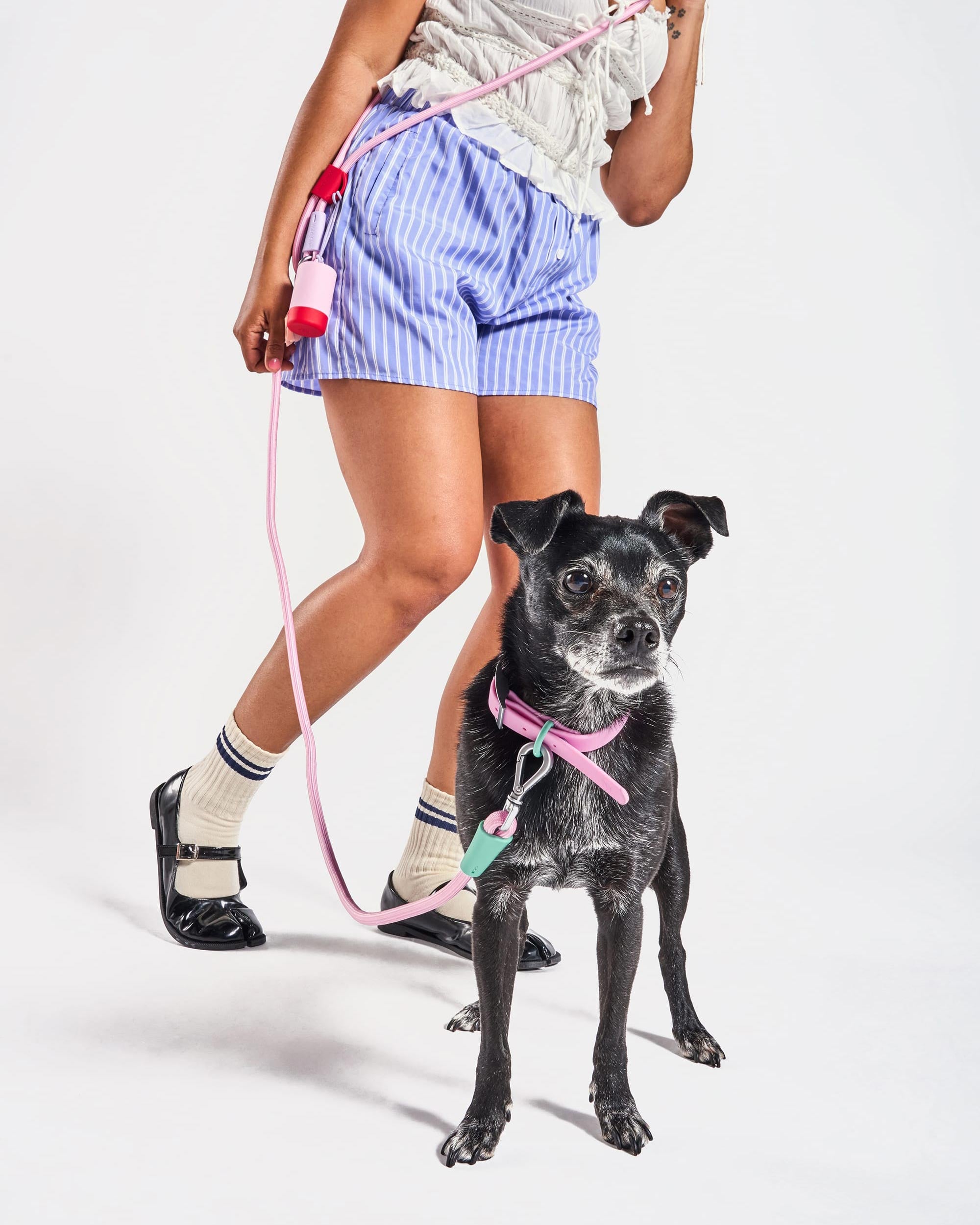 WO_VM_WalkKitCollar_RopeLeash_Bubblegum_ColorblockCampaign_02_4x5_Web.jpg