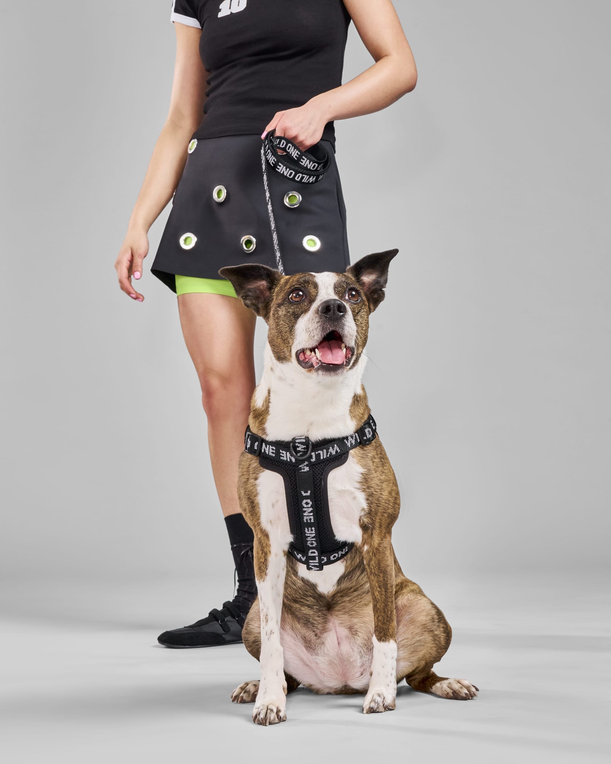 WO_VM_WalkKitStepInHarness_Black_Reflective_AirCollection_Campaign_01_4x5_Web.jpg