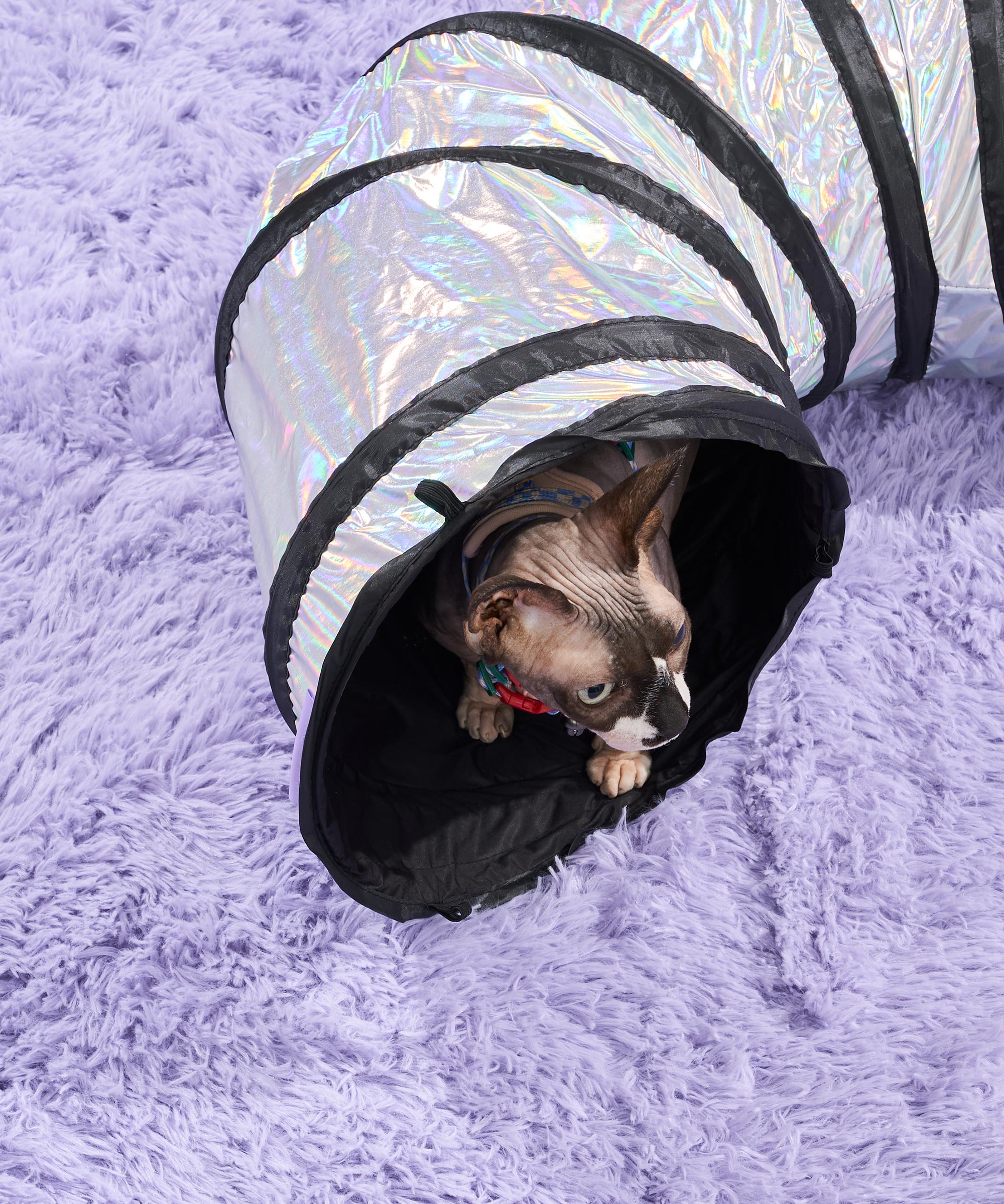 wo_pdp_cat-tunnel_campaign_01.jpg